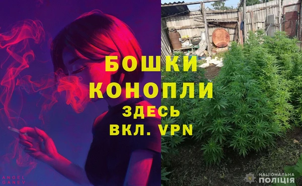 PSILOCYBIN Костерёво