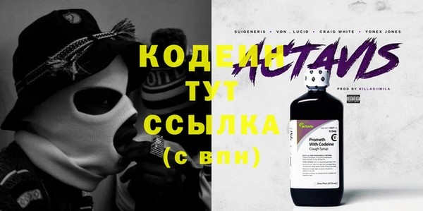 хмурый Корсаков