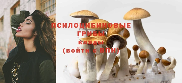 амф Коряжма