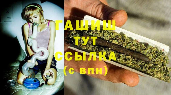 хмурый Корсаков