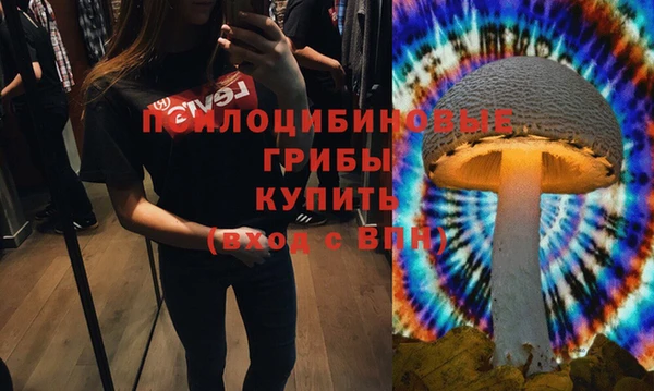 амф Коряжма
