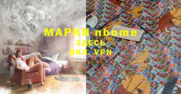 амф Коряжма