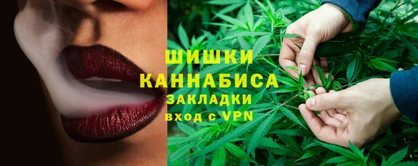хмурый Корсаков