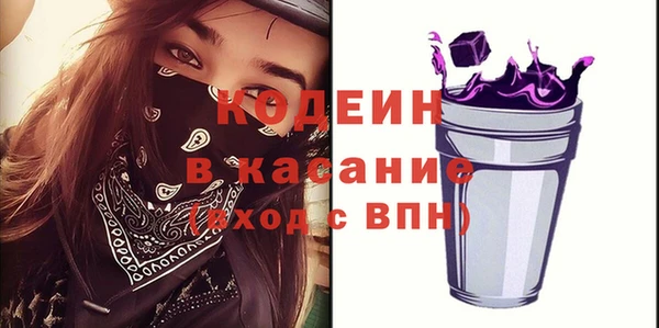 хмурый Корсаков