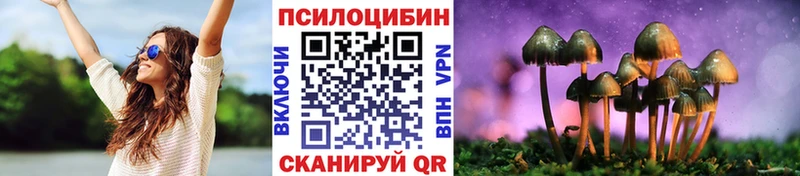 где найти наркотики  Талица  Псилоцибиновые грибы Psilocybine cubensis 
