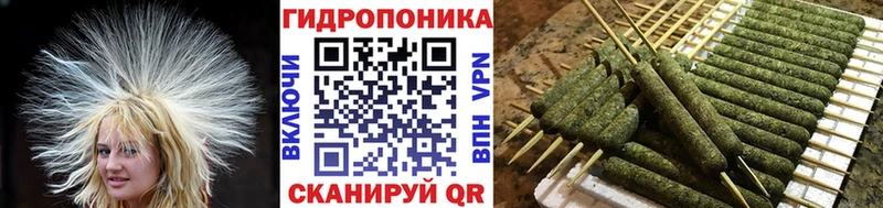 Бошки марихуана Bruce Banner  Талица 